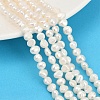 Natural Cultured Freshwater Pearl Beads Strands PEAR-P064-19D-04A-1