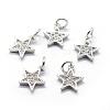 Brass Micro Pave Cubic Zirconia Charms ZIRC-G087-35P-1