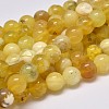 Natural Yellow Opal Round Bead Strands G-M296-02-6mm-2