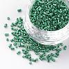 Electroplate Cylinder Seed Beads SEED-R041-02-1