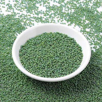 MIYUKI Round Rocailles Beads SEED-G007-RR0480-1