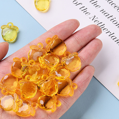 Transparent Acrylic Pendants TACR-S154-28B-81-1