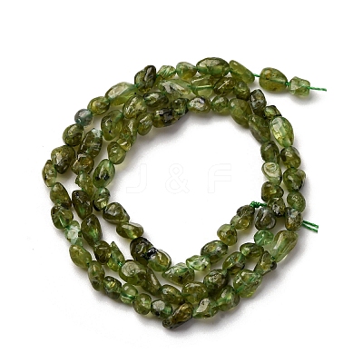 Natural Peridot Beads Strands G-I389-A27-1