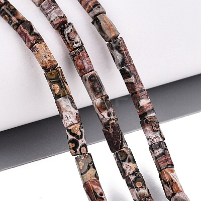 Natural Leopard Skin Jasper Beads Strands GG-N002-01A-12-1