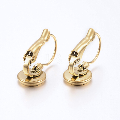 Ion Plating(IP) 304 Stainless Steel Leverback Earring Findings STAS-H425-02G-1