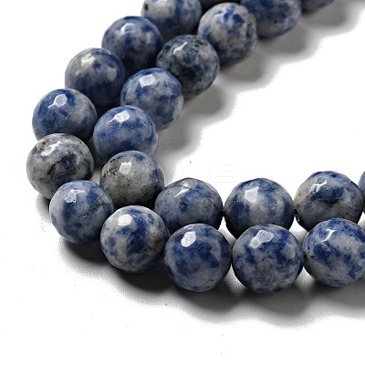 Natural Blue Spot Jasper Beads Strands G-P476-01D-02-1