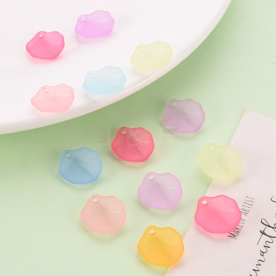 Transparent Frosted Acrylic Pendants MACR-S371-02A-1
