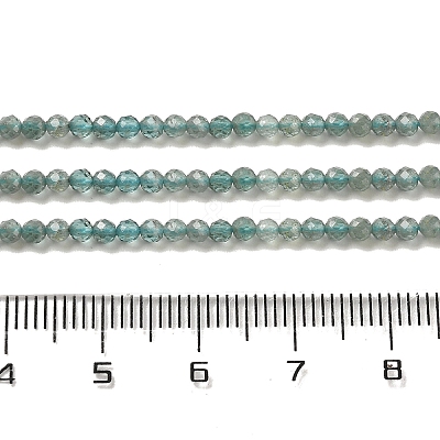 Natural Apatite Beads Strands G-B074-B09-01-1