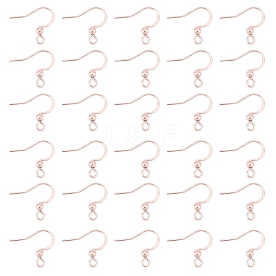 316 Surgical Stainless Steel Earring Hooks STAS-P220-13RG-1