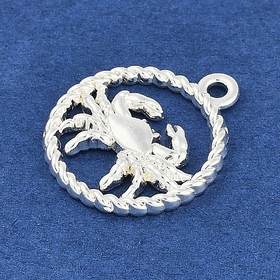 Twelve Constellations Alloy Pendants PALLOY-Q006-01A-S-1