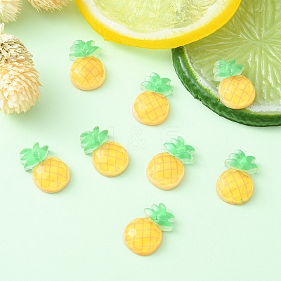 Translucent Resin Decoden Cabochons CRES-YW0001-06-1