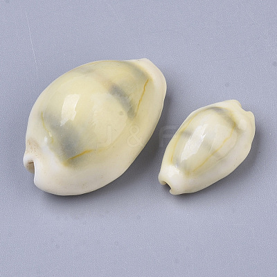 Natural Cowrie Shell Beads SSHEL-N034-B-26-1