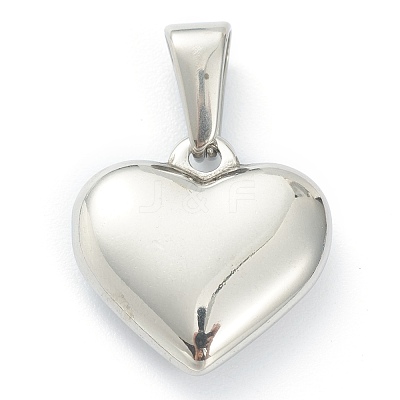 304 Stainless Steel Pendants X-STAS-P278-01C-P-1