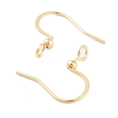 316 Surgical Stainless Steel Earring Hooks X-STAS-K274-10G-1