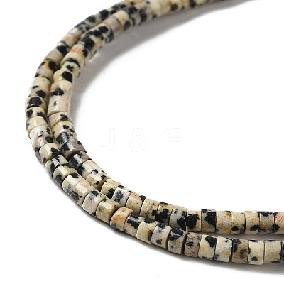 Natural Dalmatian Jasper Beads Strands G-E612-A01-A-1