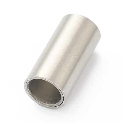 Tarnish Resistant 304 Stainless Steel Magnetic Clasps with Glue-in Ends STAS-B017-01D-P-1