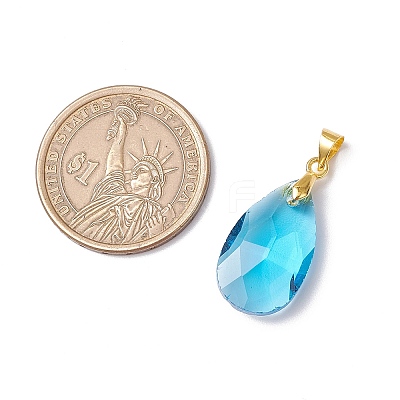 Faceted Teardrop Glass Pendants PALLOY-JF03737-01-1