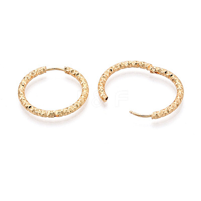 304 Stainless Steel Hoop Earrings STAS-T074-19G-1