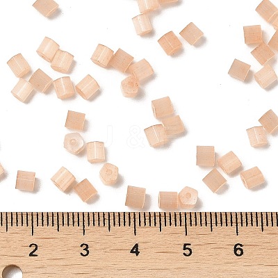 Glass Seed Beads X1-SEED-H002-D-A807-1