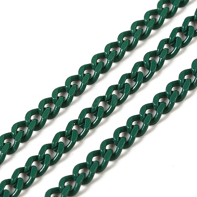 Spray Painted 304 Stainless Steel Curb Chains STAS-B067-05A-07-1
