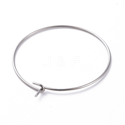 316 Surgical Stainless Steel Hoop Earring Findings STAS-J025-01D-P-1
