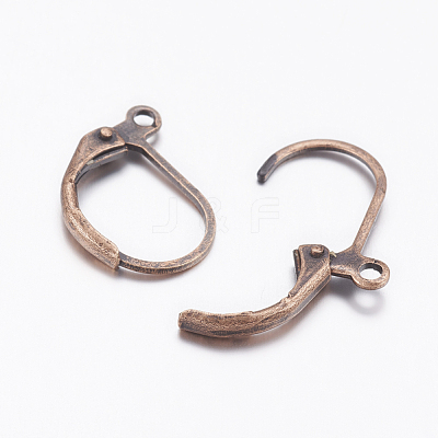 Brass Leverback Earring Findings X-EC223-NFR-1