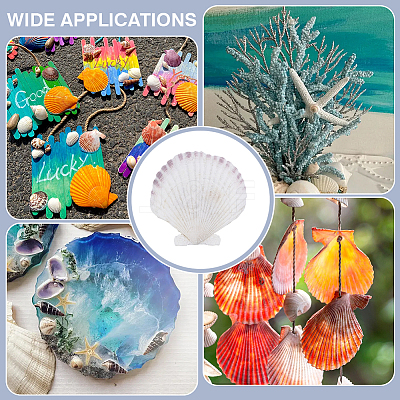 60Pcs Natural Shell Jewelry Decorative Plate AJEW-GA0009-64C-1