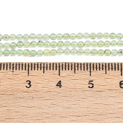 Natural Prehnite Beads Strands G-C255-B03-2mm-1
