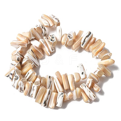 Dyed Natural Trochus Shell Beads Strands SSHEL-C013-09K-1