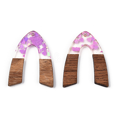 Transparent Resin & Walnut Wood Pendants RESI-N039-66A-1