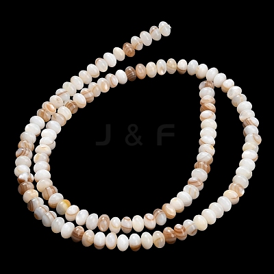 Natural Freshwater Shell Beads Strands SHEL-C010-04B-01-1