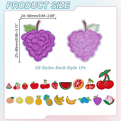 20Pcs 20 Styles Fruits Computerized Embroidery Cloth Iron on/Sew on Patches PATC-AR0001-18-1