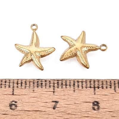 304 Stainless Steel Charms STAS-N125-24A-G-1
