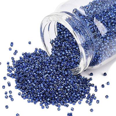 MIYUKI Delica Beads SEED-MY11-DB2511-1