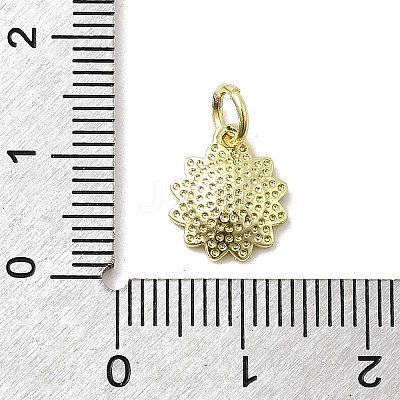 Brass Enamel Pendants KK-P338-19G-02-1