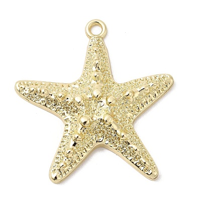 Alloy Big Pendants FIND-H055-13G-1