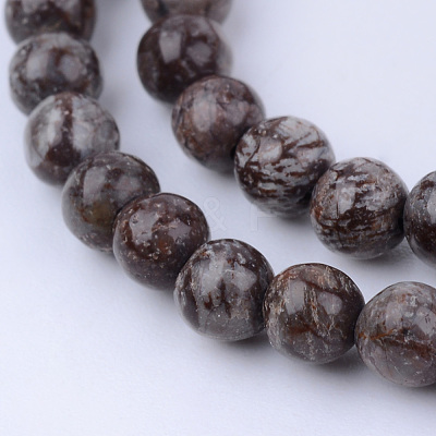 Natural Snowflake Obsidian Beads Strands G-Q462-10mm-37-1