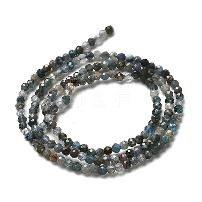 Natural Apatite Beads Strands G-RM2025-A18-2mm-A-1
