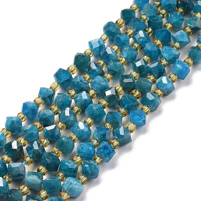 Natural Apatite Beads Strands G-P463-29-1