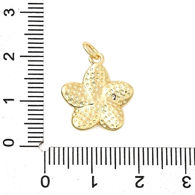 Brass Pendants KK-A266-14G-1