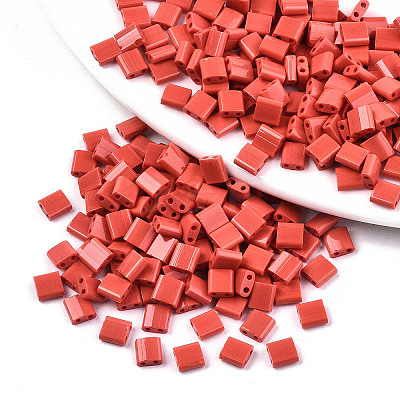 FGB 2-Hole Glass Seed Beads SEED-S031-L-ST45-1