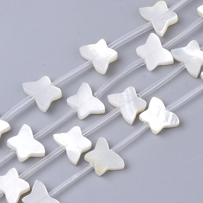 Natural White Shell Beads SSHEL-S264-069A-1