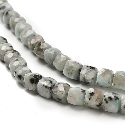 Natural Sesame Jasper Beads Strands G-H078-C24-01-1
