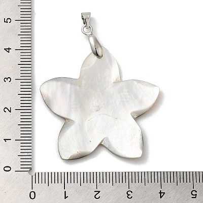 Natural Black Lip Shell Pendants SHEL-M019-03P-1