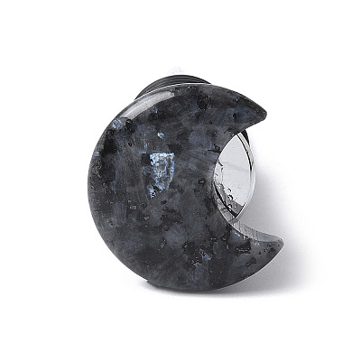 Moon Natural Larvikite Wine Stoppers DJEW-P021-D02-1