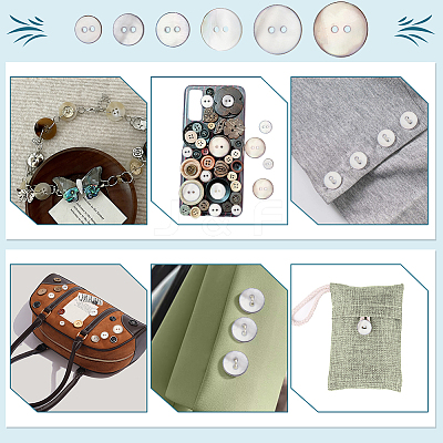 120Pcs 6 Styles Dyed Natural Shell Buttons BUTT-WR0001-42A-1