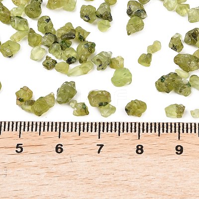 Natural Peridot Beads G-D363-A01-1