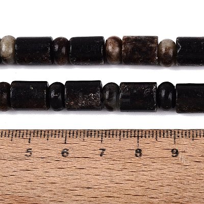 Natural Biotite Beads Strands G-Q616-09B-1