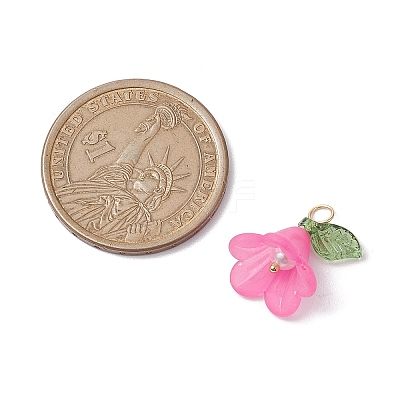 Acrylic Pendants PALLOY-TA00145-1