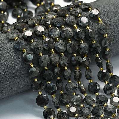 Natural Larvikite Beads Strands G-C116-A155-01-1